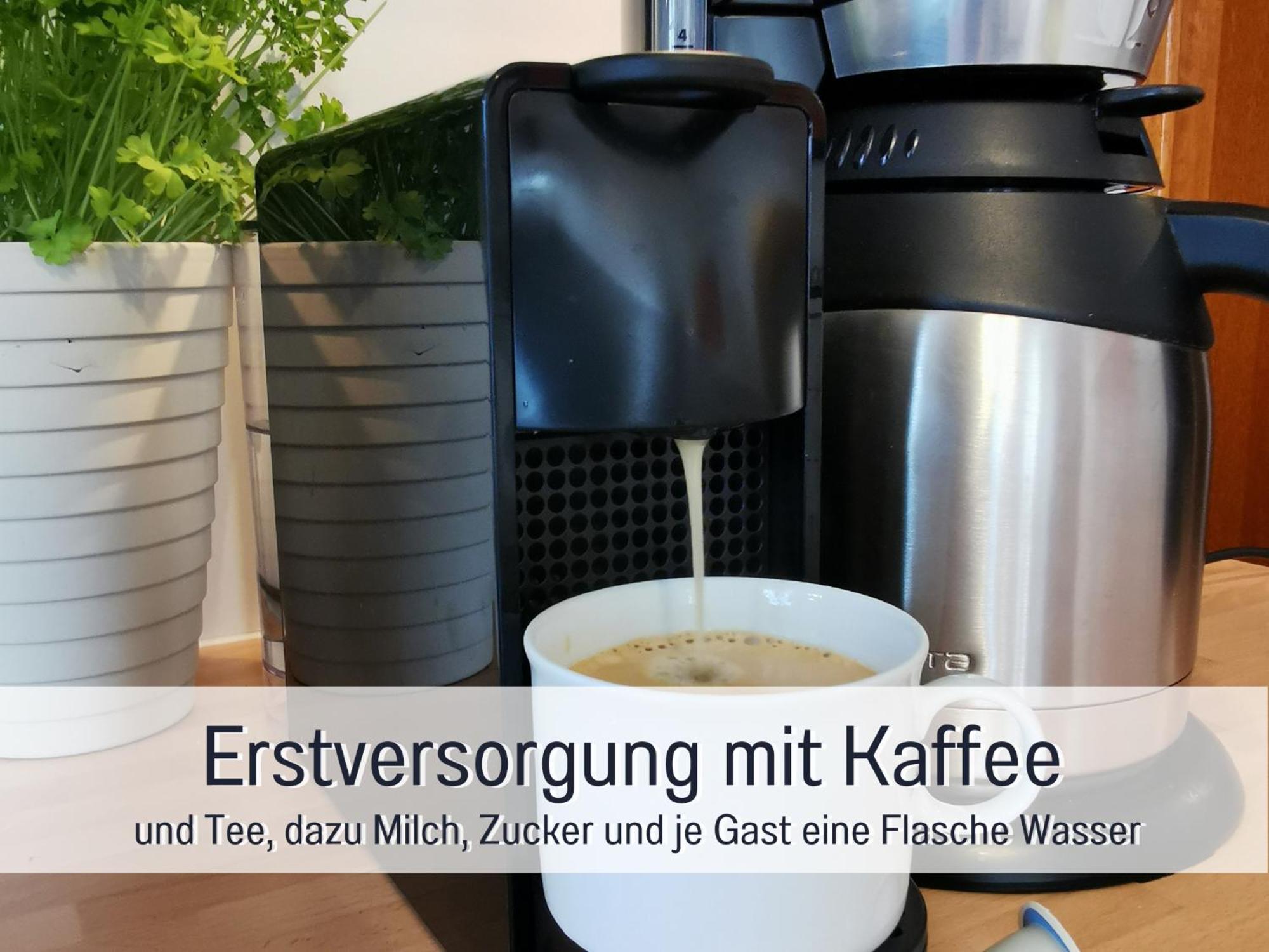 Ferienhaus Schwaab-Scherr, Genau Zwischen Bernkastel-Kues Und Traben-Trarbach, Mit Kostenlosem Oepnv-Ticket Fuer Bus Und Bahn, Parkplaetzen, Fahrradgarage Und Vielen Tipps Erden Zewnętrze zdjęcie