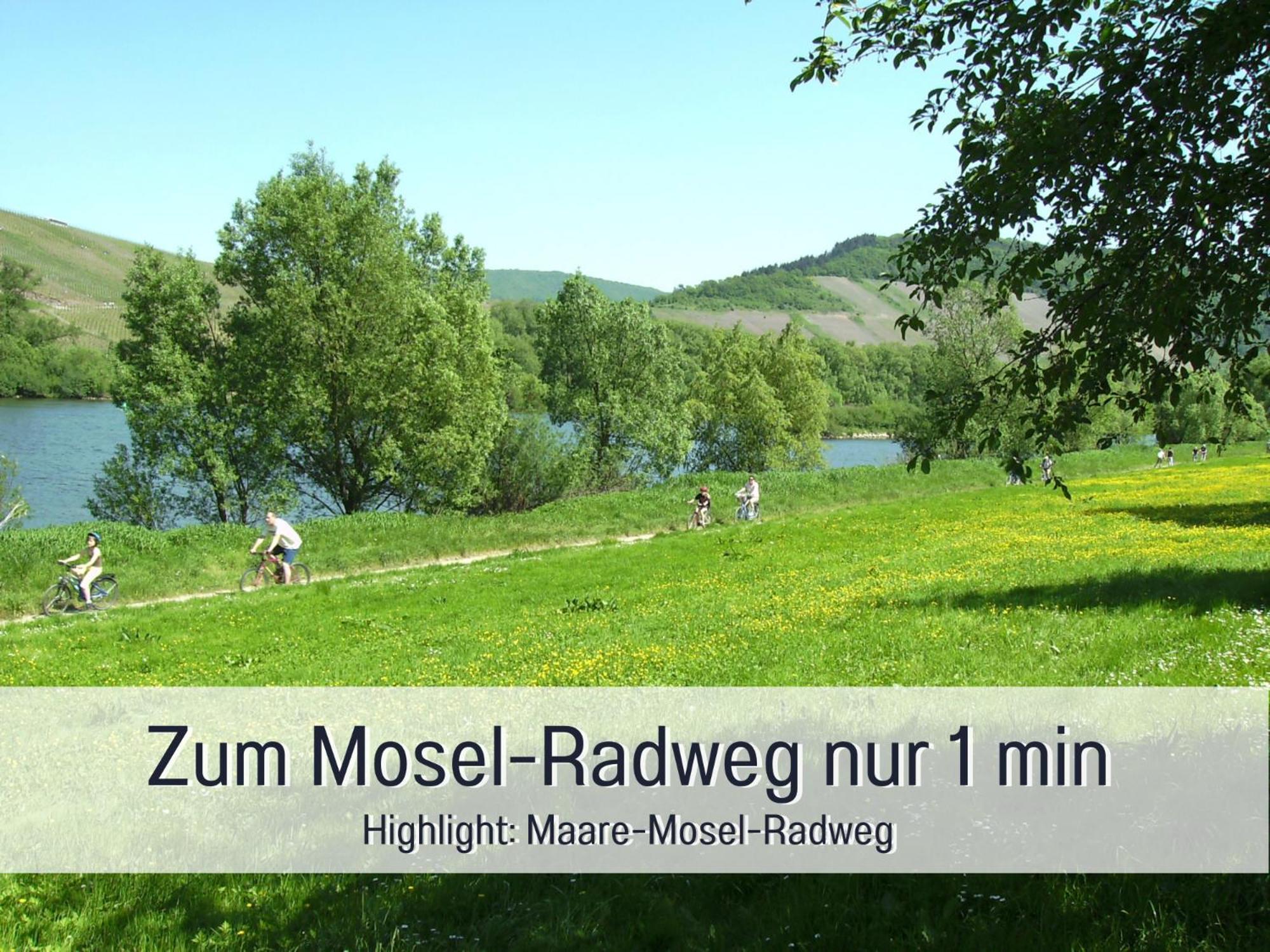 Ferienhaus Schwaab-Scherr, Genau Zwischen Bernkastel-Kues Und Traben-Trarbach, Mit Kostenlosem Oepnv-Ticket Fuer Bus Und Bahn, Parkplaetzen, Fahrradgarage Und Vielen Tipps Erden Zewnętrze zdjęcie