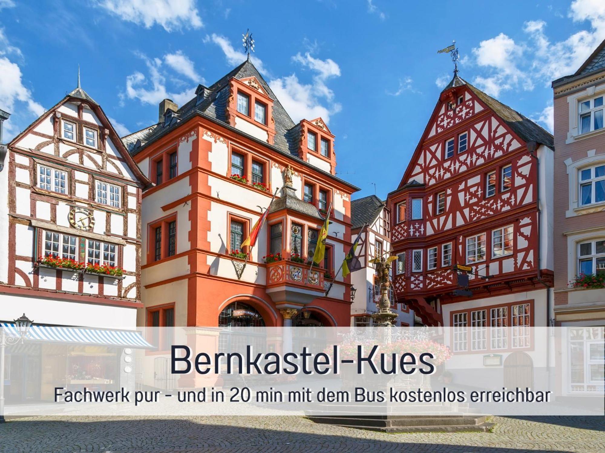 Ferienhaus Schwaab-Scherr, Genau Zwischen Bernkastel-Kues Und Traben-Trarbach, Mit Kostenlosem Oepnv-Ticket Fuer Bus Und Bahn, Parkplaetzen, Fahrradgarage Und Vielen Tipps Erden Zewnętrze zdjęcie